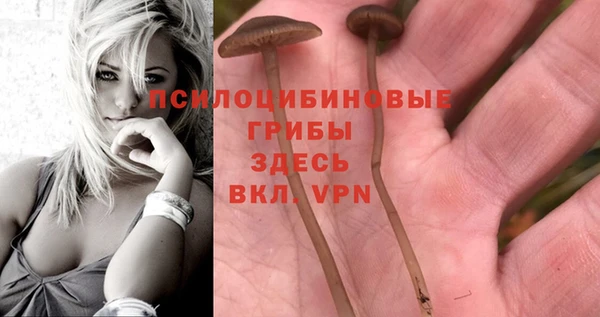 метамфетамин Алзамай
