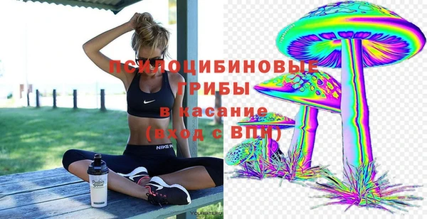 прущая мука Алексин