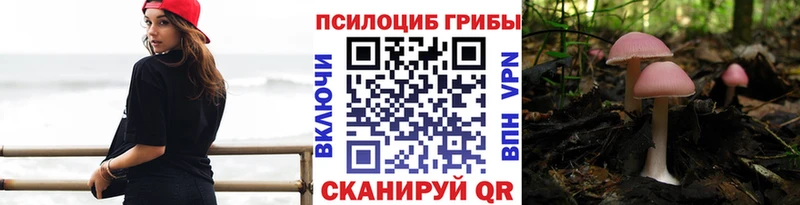 Галлюциногенные грибы мухоморы  Чёрмоз 